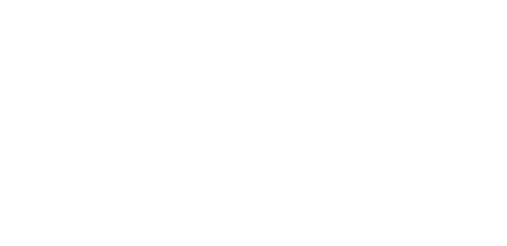 GLOBOS DECORADOS - Flores de las Américas
